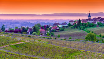 France bike tours Alsace Wine Route Deluxe