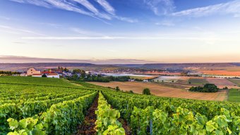 Wine Tours Best of Champagne Deluxe