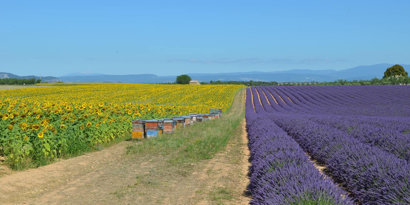 trip-in-france-and-europe-biking-or-walking-discover-france