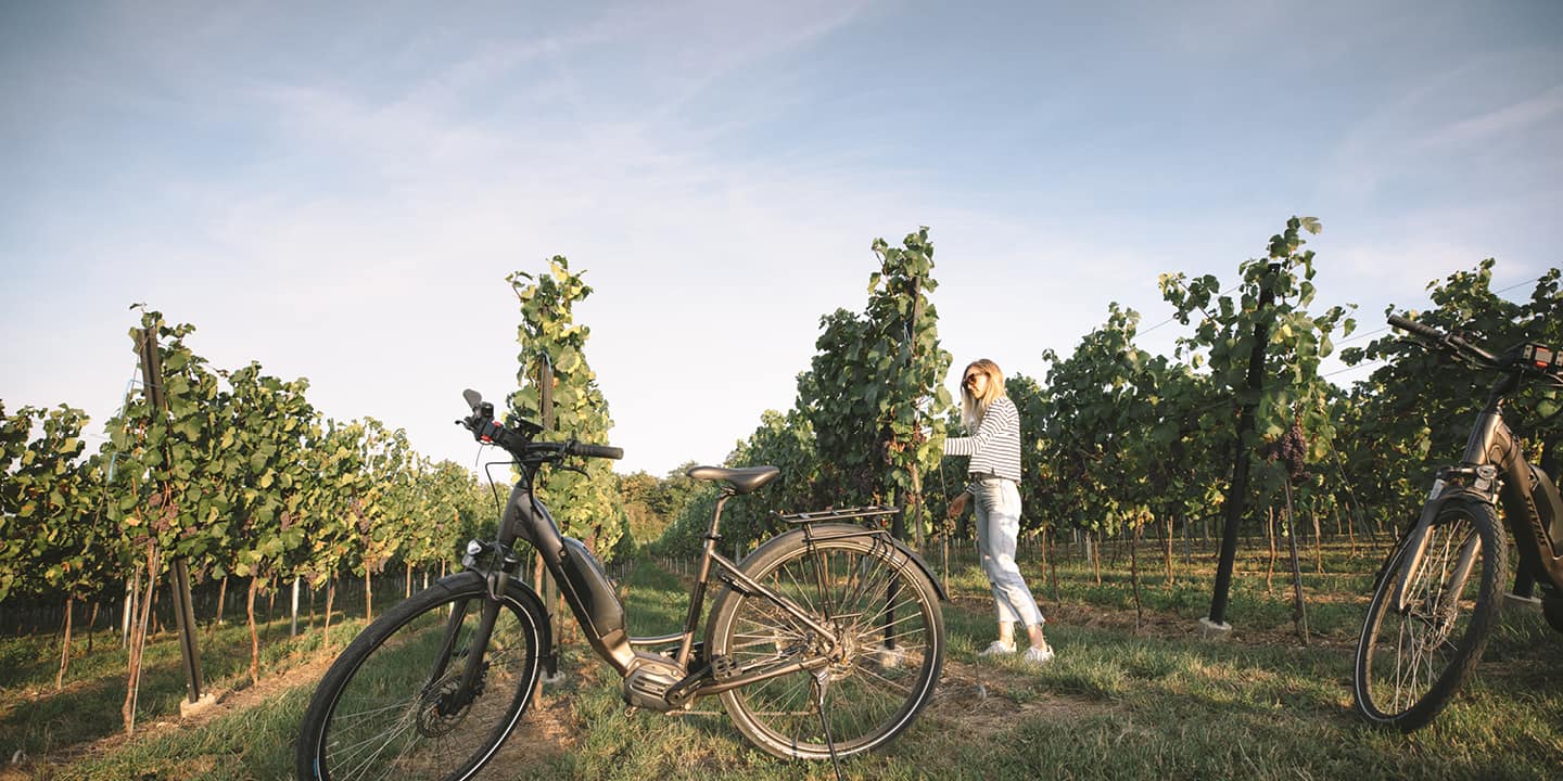 wine bike tours europe